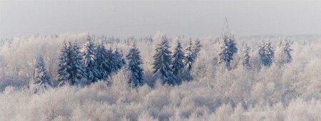 валдай_подморозило_и_оснежило