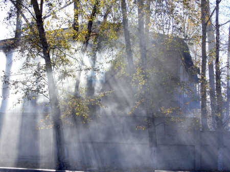 Проявитель света