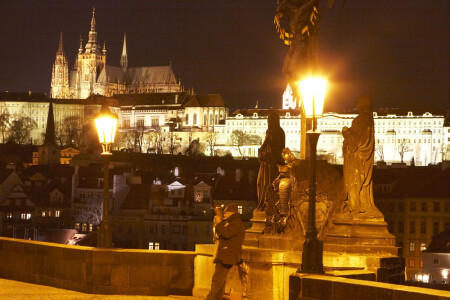 Ночная серенада