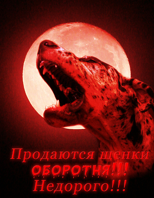 Моя собачка... (в стиле трэш)