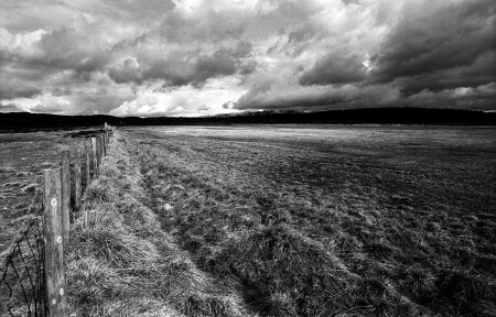 Нерусское поле