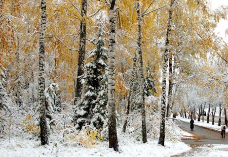 переход в зиму