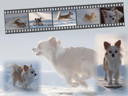 Прогулка по снежку