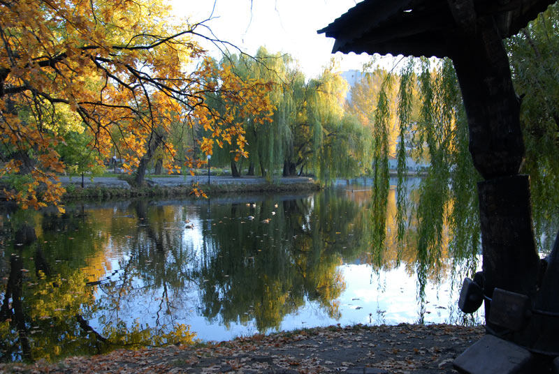 Осень в парке
