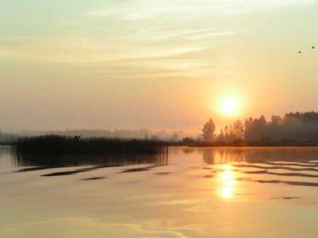 утиная охота