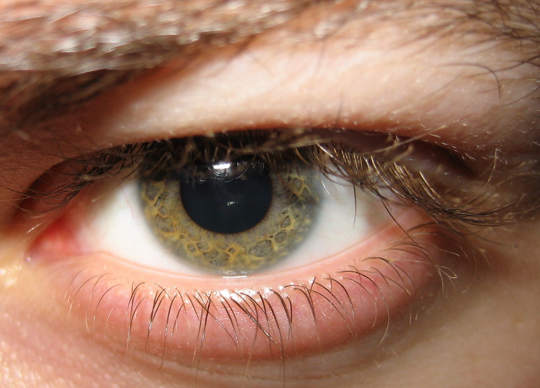 eye