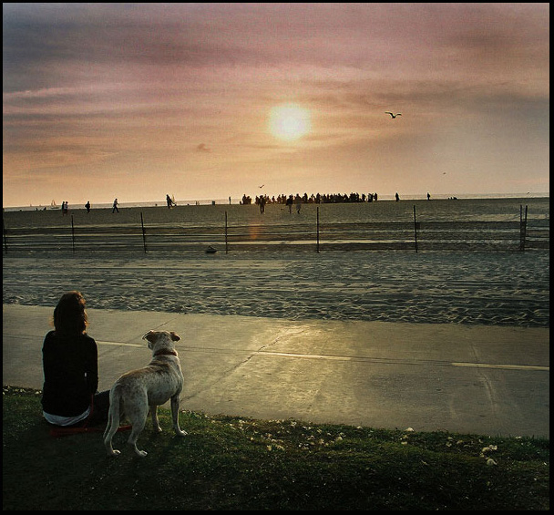 ..Not Alone..