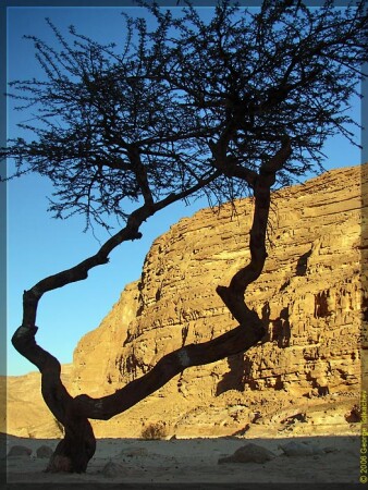 Раздвоение