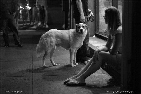 "BROADWAY NIGHTS" NEW YORK