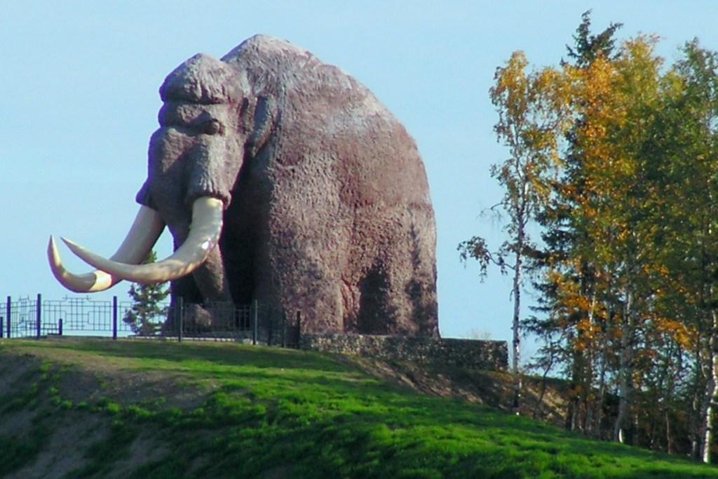 мамонт , выходящий из лесотундры