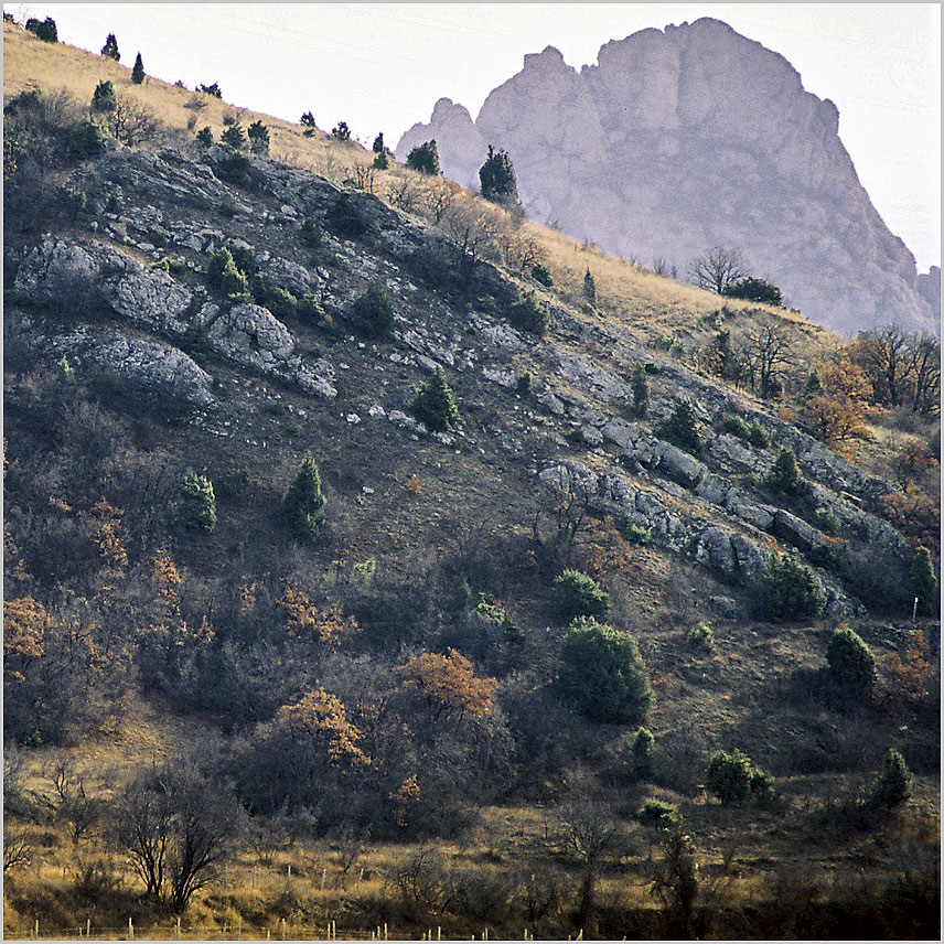 Склон. Кара-Даг. Январь, 2007