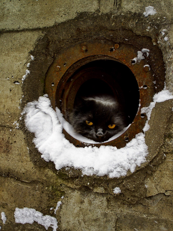 Сказка для затмения