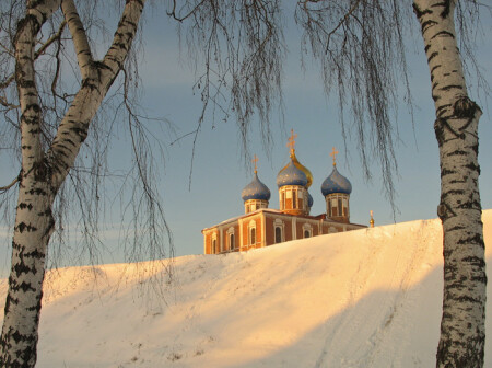 Без названия