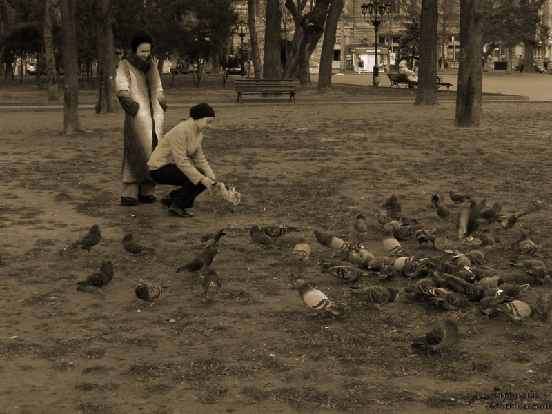 одна добрая фотография