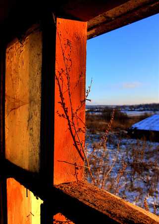 Window