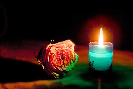 Два одиночества