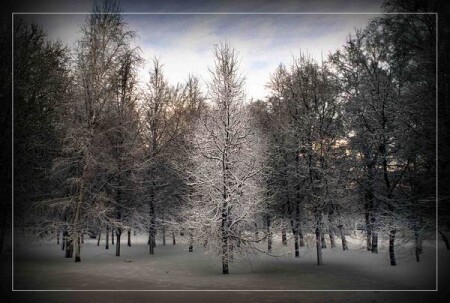 Одиночество