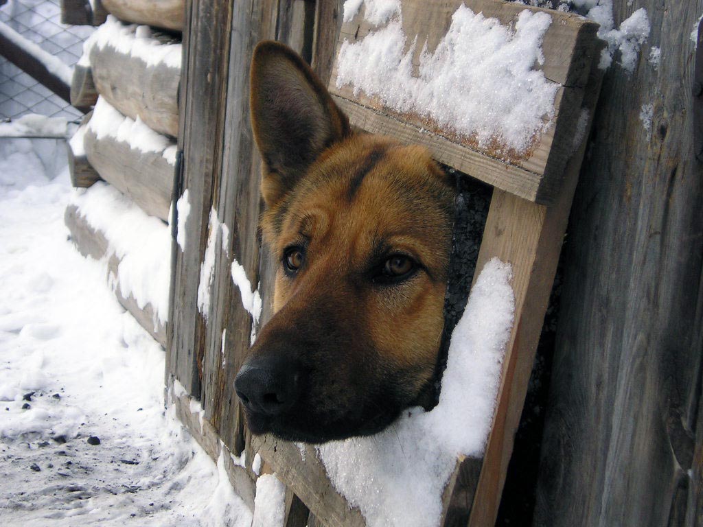 Кто здесь?!