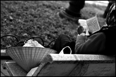 QUITE READIN (bench 1)