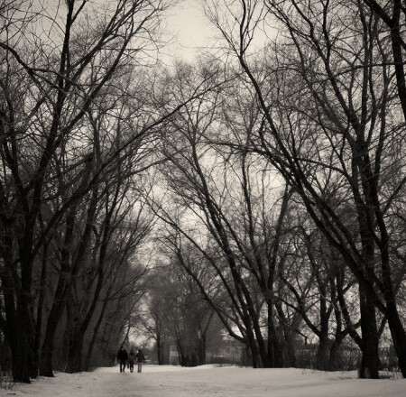 Тёмная аллея