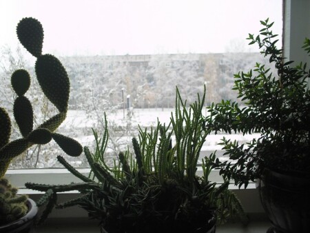 лето и зима