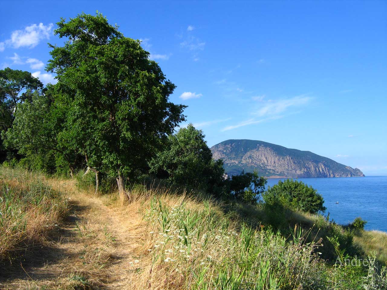 Летний день в Крыму