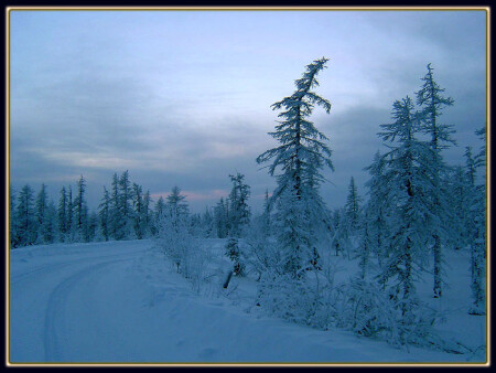 Пасмурный вечер