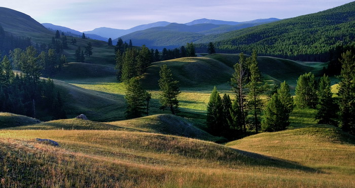 ВЫСОКОГОРНЫЕ ЛУГА АЛТАЯ