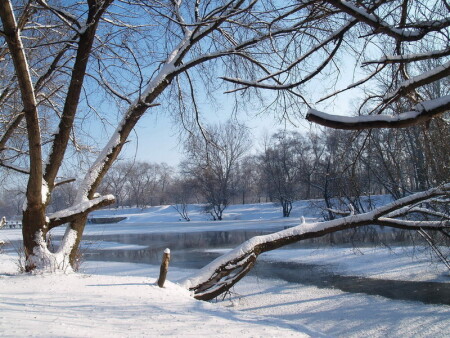 Утренний берег