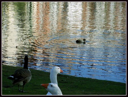 Зеркальное озеро