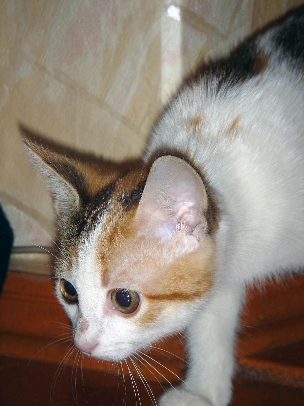Охотник