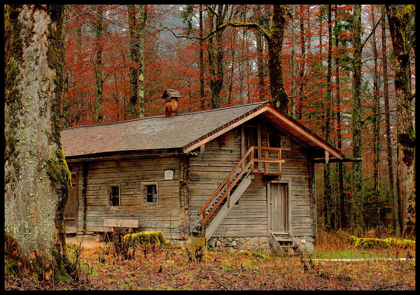 forest warden's hut