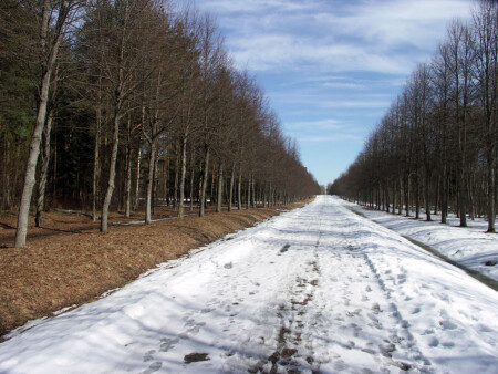 Дорога зимы и весны