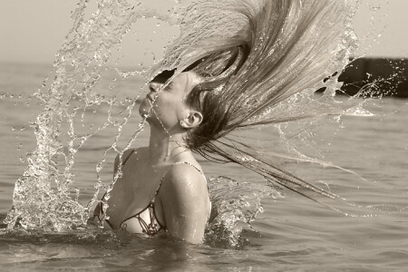 Splash