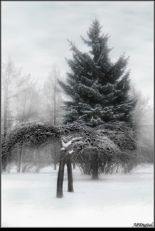 Зима в городе