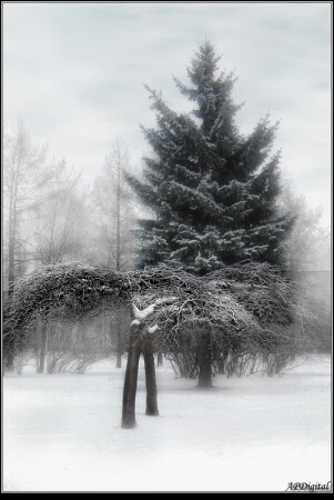 Зима в городе