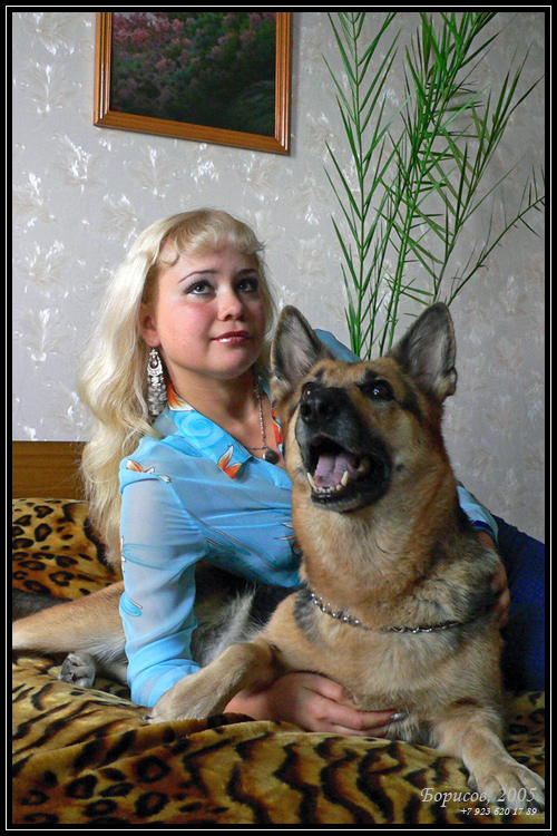 Солнца с собакой.