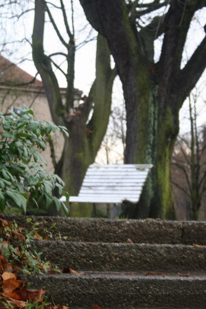 Чьи-то воспоминания