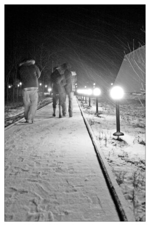 а метели не обещали ...