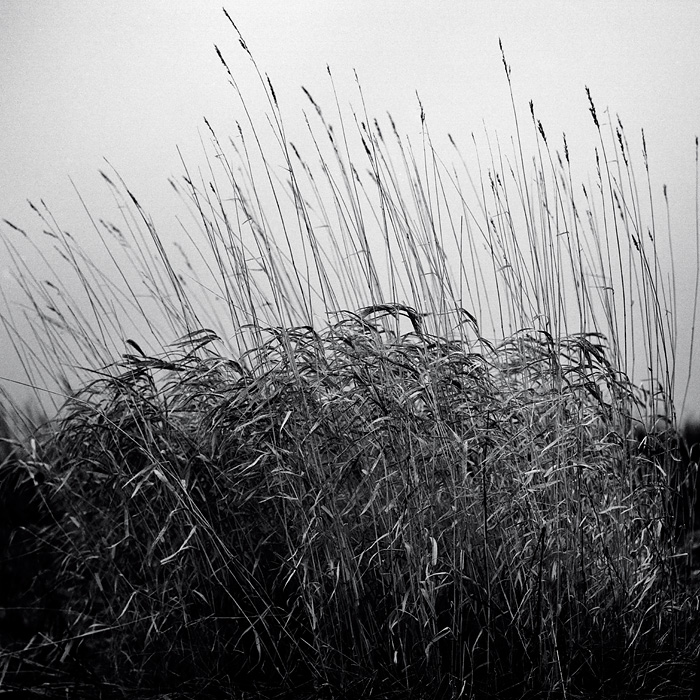 December winds