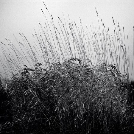 December winds