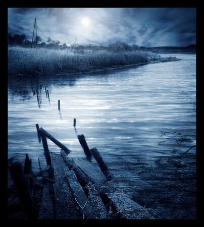 In the moonlight