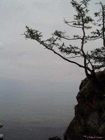 Безмолвие