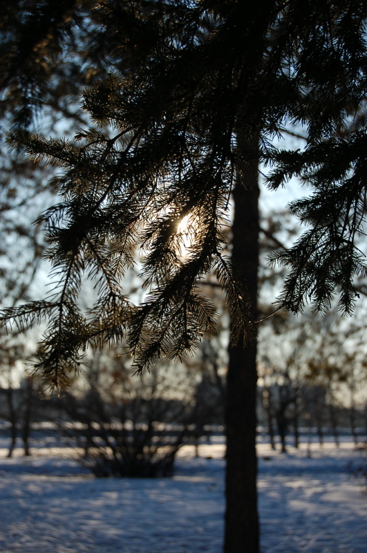 Вечер