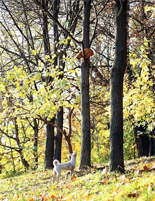 НЕлюбовь