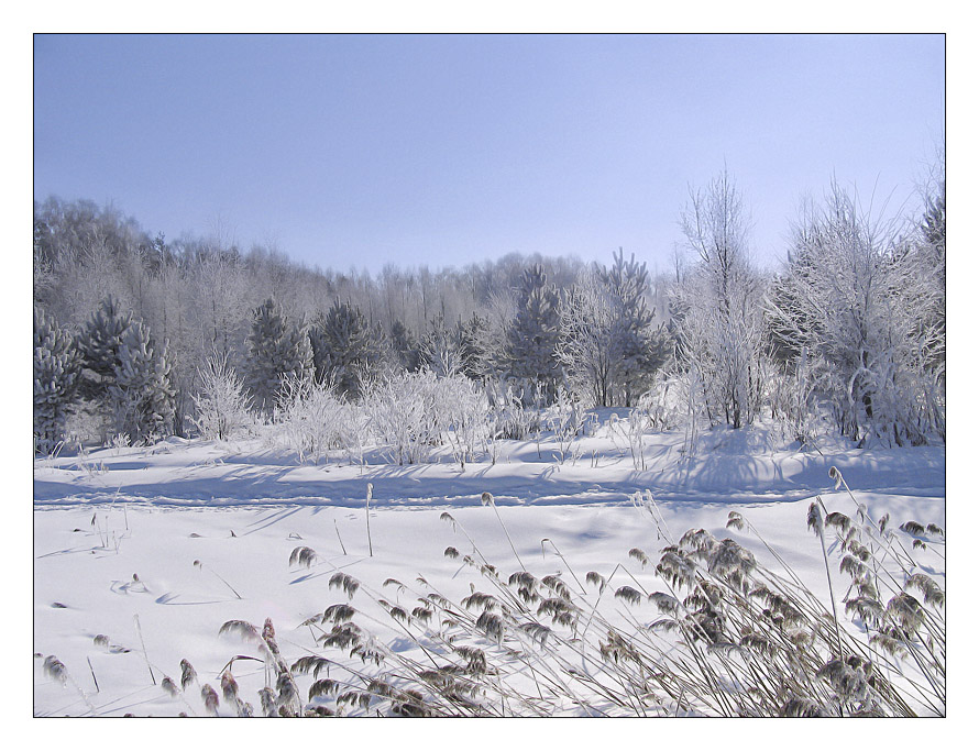 Snowbound