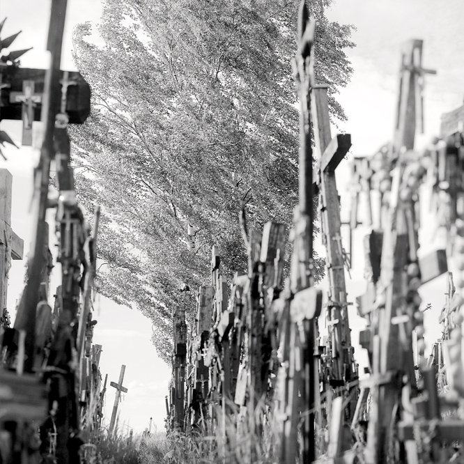 crosses