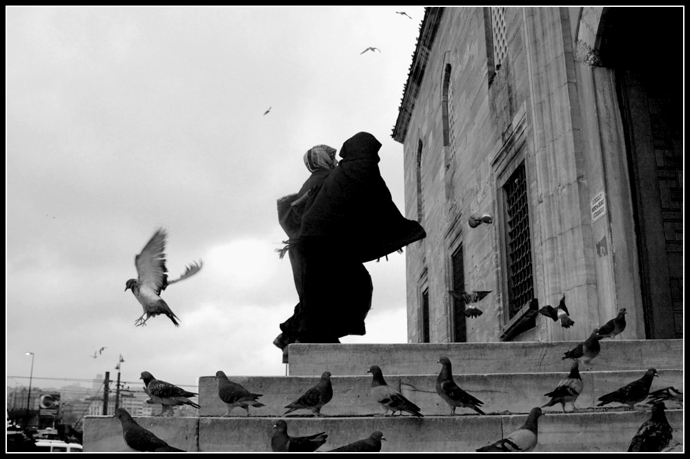 &quot;Женщины и голуби&quot;