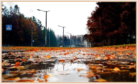Цвета хмурой осени