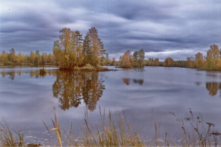 Жёлто-синяя осень
